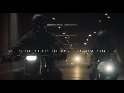 Custom Harley Davidson Iron 883 aka 'SEXY' by Motokraft Customs